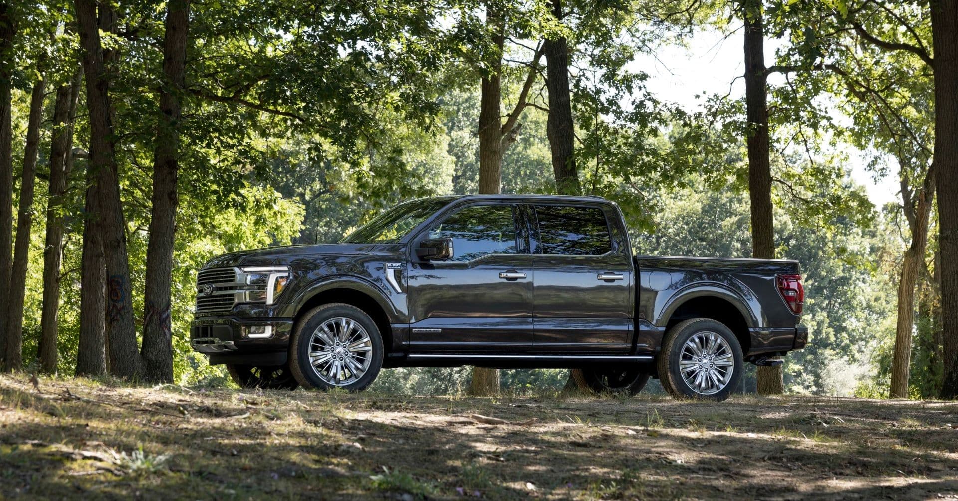 EU Legislators Give US Bakkies the Cold Shoulder Over Environmental and Safety Concerns
