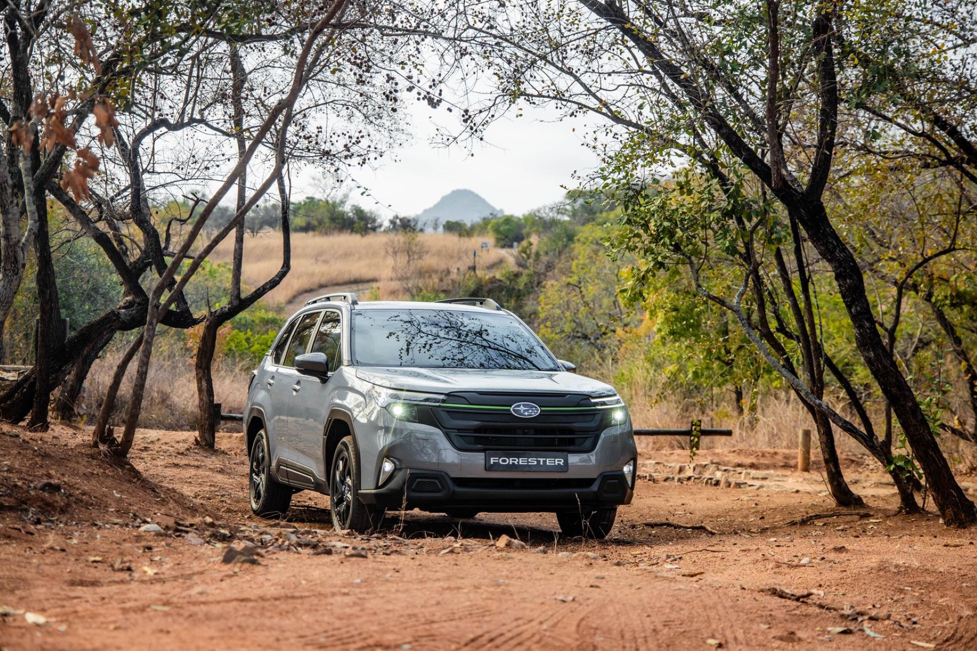 subaru-introduces-a-bold-new-forester-for-2025-1.jpg